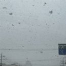 26470-01-21-369 | 경영정보시각화능력 필기 후기📝(한문제 차이로 불합격!!!!ㅜ_ㅜ)