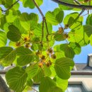 카이스트 세종관 이미지