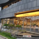 버섯샤브칼국수 이미지