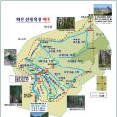 대전근교힐링코스, 화인산림욕장 편백나무길^^ 이미지