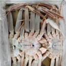 금성수산 이미지