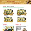 김정복님 설날굴비선물 특별판매 이미지