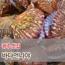 [광주맛집] 바다언니야 굴찜+가리비 무한리필 맛집 후기