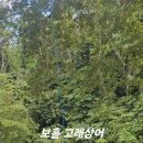 세보맘투어