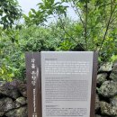 와흘본향당 | [부산점집] 제주도 와흘본향당, 송당본향당 인사