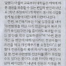 서울통상