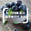 눈 건강에 최고 블루베리의 효능 이미지