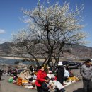 수유농원 이미지