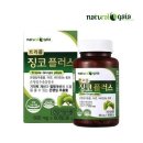 주)가이아 이미지