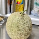 송보농장 이미지