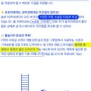 KNOLLO(놀로) 이미지