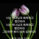 샬롬 Daum카페