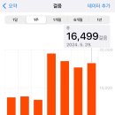 이문51 | 24/5/29 나홀로 런던 5일차_해리포터스튜디오런던, 런던아이, 빅벤