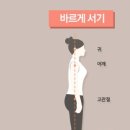 바른자세 필라테스 이미지