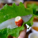 삼화횟집 네이버블로그