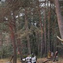 숨길+ 쉼길+ 순례길 | [순례길] 산티아고 순례길 프랑스길 12일차 벨로라도 → 아헤스