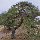 구암동387 이미지