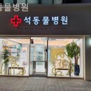 석동물병원 이미지
