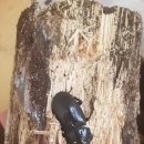 (주)운우 이미지