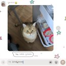 어쩌다가 평생에 단 한번 사랑을 하게 되면