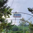 마로니에민박 이미지