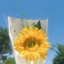 고린도목장 네이버블로그