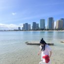 은혜카-센터 | 하와이 한달살기 총 경비 🌺