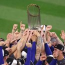 CHA CHA GYM 이미지