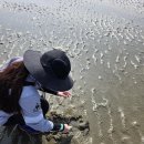 행복마트 이미지