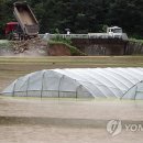 상신천 이미지