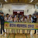 용인대 예당 태권도장 이미지