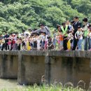 다슬기 반딧불이 이미지