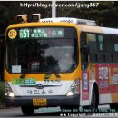 주정차51 이미지