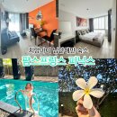 피닉스 | 치앙마이 에어비앤비 숙소 I 님만해민 팜스프링스 피닉스 리얼 후기