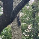 만리포해수욕장 관광지 이미지