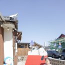 나나점빵 | 경주 황리단길 소품샵 추천 동네 점빵(야옹이 점빵), 미피스토어, 루루상점, 야옹씨네 나무사진