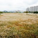 명품코보스 이미지