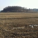 두정역서1길 이미지