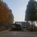 성포예술광장 이미지