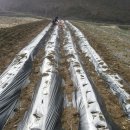 안터사슴농장 이미지