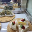 해빗 (hav-it) 이미지