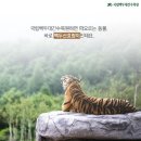 백두여행사 이미지