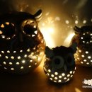 부엉이집 이미지