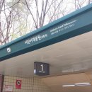 목련 어린이공원(어17) | [광진구 가볼만한곳] 어린이대공원 음악분수 리뉴얼! BTS·밤양갱 라인업 &amp; 목련 개화 현황