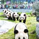 팬더호텔 이미지