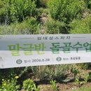 부부김밥 - 송파구 위례성대로18길 31 | 부부김밥