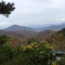 한티휴게소 이미지