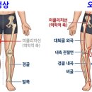 활인당한의원 네이버블로그