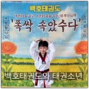 연수 백호태권도장 | 동춘동 백호태권도를 만나면 태권소년이 되!