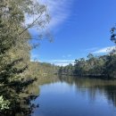 드림월드타운 이미지